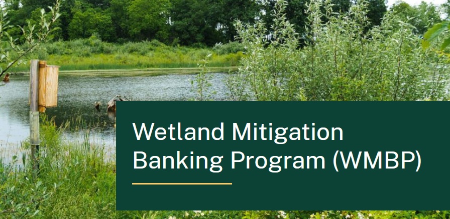 USDA invests $4.4 million for wetland mitigation projects — Harvey Community news